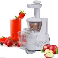 HOMCOM 150W Electric-powered Slow Juicer for Fruit Vegetable Processor White(m-12)