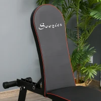 Soozier Foldable Multifunctional Sit Up Dumbbell Bench Adjustable Exercise with Resistant Rope for Home, Office and Gym, Black(m-12)