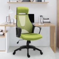 Vinsetto Office Computer Chair Mesh High Back Lumbar Support Adjustable Height Padded Linen Swivel Green(m-1)
