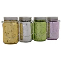 Outsunny 4-Pcs Glass Jar String Light w/ Handle Portable LED Multi Color(m-8)