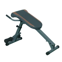 Soozier Roman Chair Abs Abdominal Extensions Exercise Fitness Muscle Workout Gym(m-1)