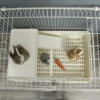 PawHut 2-Level Small Animal Cage Rabbit Hutch with Wheels, Removable Tray, Platform and Ramp for Bunny, Chinchillas, Ferret, White(m-8)