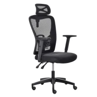 Vinsetto High Back Ergonomic Computer Home Office Chair, Mesh Task Chair with Lumbar Back Support, Reclining Function, Adjustable Headrest, Arms and Height, Black(m-12)