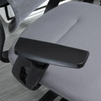 Vinsetto High Back Ergonomic Mesh Office Chair with Adjustable Height, Armrests, Lumbar Support and Headrest, Grey/Black(m-13)