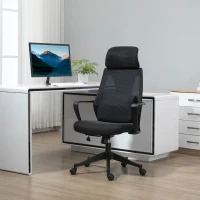 Vinsetto Ergonomic Home Office Mesh Desk Chairs, Computer Task Chair with Massage Lumbar Cushion, Adjustable Seat & Headrest, Rocking Function, Black(m-2)