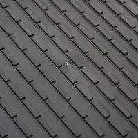 PawHut 28" - 62.5" Telescoping Dog & Pet Ramp with Lightweight Aluminum Design & Anti-Skid Surface for Elderly Pets(m-9)