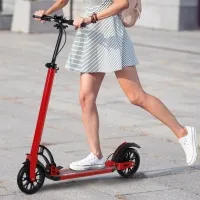 Soozier Kick Scooter Folding Adjustable Ride On Toy w/ Dual Braking System, Rear Shock Absorption and 8" Big Wheels For 14+ Teens Adult, Red(m-1)