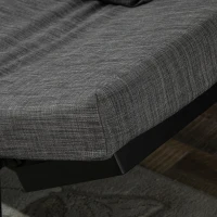 HOMCOM Single Person Chaise Lounger, Modern Sofa Bed with 5 Adjustable Positions, 2 Large Pillows, and Birch Legs, Charcoal Grey(m-15)