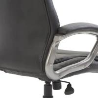 HOMCOM High Back Executive Office Chair Adjustable Tilt Black(m-9)