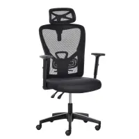 Vinsetto High Back Ergonomic Computer Home Office Chair, Mesh Task Chair with Lumbar Back Support, Reclining Function, Adjustable Headrest, Arms and Height, Black(m-1)