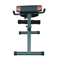 Soozier Roman Chair Abs Abdominal Extensions Exercise Fitness Muscle Workout Gym(m-7)