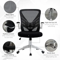 Vinsetto Mid-Back Mesh Home Office Chair Computer Task Ergonomic Desk Chair with Lumbar Back Support, Flip-Up Arm, and Adjustable Height, Black(m-9)