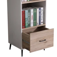 HOMCOM Modern 2-Tier Vertical Storage Cabinet Display Rack Home Organzier Living Room(m-4)