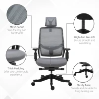 Vinsetto High Back Ergonomic Mesh Office Chair with Adjustable Height, Armrests, Lumbar Support and Headrest, Grey/Black(m-9)