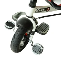 Qaba 4-in-1 Baby Tricycle & Stroller Kids Trike with Pushbar and Canopy Toddler Ride On  Red(m-10)