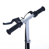 Qaba Adjustable Folding E-Scooter with LED Light Battery Powered Motorized Bike Electric Scooter 24V 4.5AH for Teens Pink(m-9)