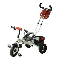 Qaba 4-in-1 Baby Tricycle & Stroller Kids Trike with Pushbar and Canopy Toddler Ride On  Red(m-5)