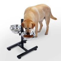 PawHut 24" Stainless Steel Adjustable Height Elevated Double Diner Dog Bowls - Silver/Black(m-2)