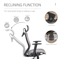 Vinsetto High-Back Mesh Home Office Chair with Coat Hanger, Computer Task Chair with Adjustable Height, Arms, Headrest and Lumbar Support, 360° Wheels and Seat, Reclining Function, Grey(m-6)