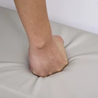 HOMCOM Shoe Rack Bench, Storage Organizer with Padded Cushion, Shelves, Hidden Compartments for Shoes, Boots, High Heel, Brown(m-20)