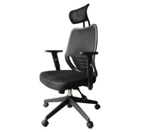 HomCom Ergonomic Mesh Office Chair with Headrest - Black(m-2)