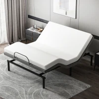 HOMCOM Queen Adjustable Bed Frame, Ergonomic Zero Gravity Power Bed Base with Head and Foot Incline, Memory, and Wireless Remote, Grey(m-10)