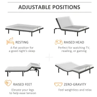 HOMCOM Queen Adjustable Bed Frame, Ergonomic Zero Gravity Power Bed Base with Head and Foot Incline, Memory, and Wireless Remote, Grey(m-7)