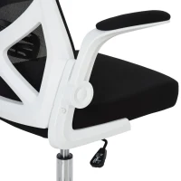 Vinsetto Ergonomic Mesh Office Chair Rocking Swivel Computer Task Desk Chair with Folding Backrest, Lumbar Support, Flip-up Arms and Adjustable Height, Black(m-13)