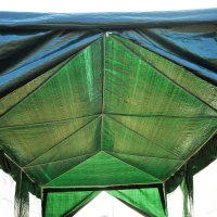 Outsunny 840-055GN Party Gazebo Tent, 10'x 30'(m-5)