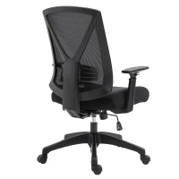 Vinsetto Ergonomic Mesh Office Chair with Lumbar Back Support, Swivel Rocking Computer Chair with Adjustable Height and Armrests for Home Office, Black(m-15)