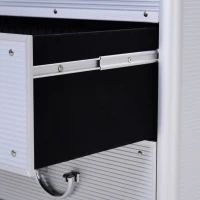 HOMCOM Professional Rolling Full Makeup Travel Train Case, Large Storage Cosmetic Trolley with Folding Trays, Drawer and Locks, Silver(m-15)