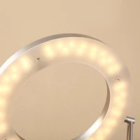 HOMCOM Modern LED 2 Light Floor Lamp, Tall Standing Lamp with Rotatable Ring Light and Height Adjustable Side Light for Living Room or Bedroom, Silver(m-11)