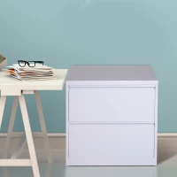 Vinsetto 30" 2 Drawer File Cabinet Cold Rolled Steel Metal Storage Chest Home Office Furniture White(m-1)