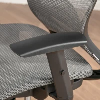 Vinsetto High-Back Mesh Home Office Chair with Coat Hanger, Computer Task Chair with Adjustable Height, Arms, Headrest and Lumbar Support, 360° Wheels and Seat, Reclining Function, Grey(m-13)