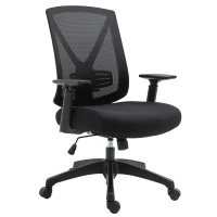 Vinsetto Ergonomic Mesh Office Chair with Lumbar Back Support, Swivel Rocking Computer Chair with Adjustable Height and Armrests for Home Office, Black(m-13)