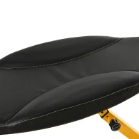 Soozier Multifunctional Sit Up and Dumbbell Weight Bench with 4-Angle Adjustable Backrest & Lightweight Portable Design - Yellow(m-9)