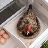 PawHut Wooden Chicken Coop Hen House with Removable Tray and Nest Box, 71" Rabbit Hutch and Poultry Cage with Ventilated Holes , White(m-11)