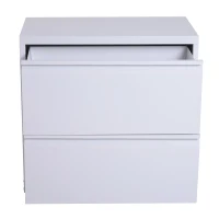 Vinsetto 30" 2 Drawer File Cabinet Cold Rolled Steel Metal Storage Chest Home Office Furniture White(m-4)