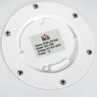 HOMCOM 16" RGB Waterproof Rechargeable Adjustable Color Changing Ball with Remote Control(m-11)