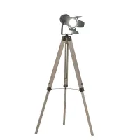 HOMCOM Floor Lamp Height Adjustable Camera Shape Lampshade Black(m-1)