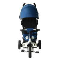 Qaba 4-in-1 Baby Stroller Tricycle Kids Trike w/ Pushbar & Canopy Toddler Blue(m-5)