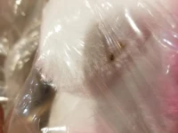 Open Box (Cosmetic Blemish) Qaba Kids Wooden Plush Ride-On Unicorn Rocking Horse Toy with Sing Along Songs(m-12)