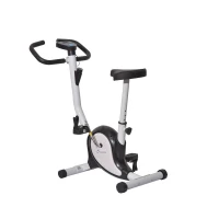 Soozier Upright Stationary Exercise Cycling Bike w/ LCD Monitor - White and Black(m-4)