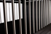 New Age Pet  InnPlace Dog Crate - Espresso Large(m-9)