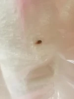 Open Box (Cosmetic Blemish) Qaba Kids Wooden Plush Ride-On Unicorn Rocking Horse Toy with Sing Along Songs(m-13)