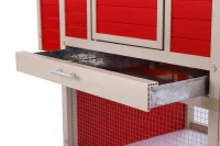 New Age Farm Sonoma Chicken Coop in Red and Maple(m-8)