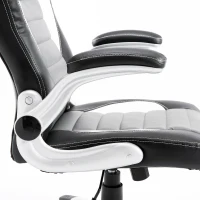 HOMCOM Racing Car Office Chair Swivel Excutive Computer Gaming Office Chair with Adjustable Armrest (Grey)(m-6)