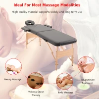 HOMCOM Portable Massage Table Massage Bed Couch Beauty Bed 2 Section Lightweight Portable Black(m-6)