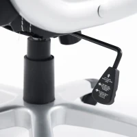 HOMCOM Racing Car Office Chair Swivel Excutive Computer Gaming Office Chair with Adjustable Armrest (Grey)(m-9)