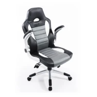 HOMCOM Racing Car Office Chair Swivel Excutive Computer Gaming Office Chair with Adjustable Armrest (Grey)(m-2)